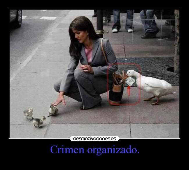 Crimen organizado. -