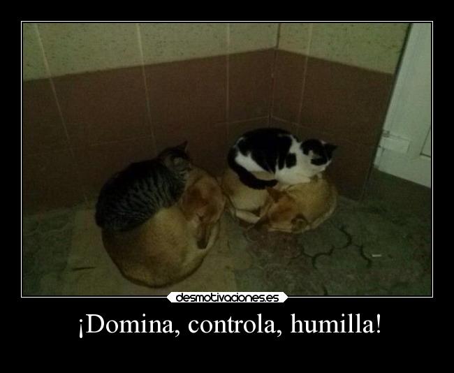 ¡Domina, controla, humilla! - 