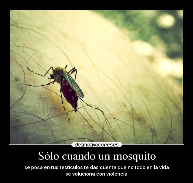 Sólo cuando un mosquito - se posa en tus testículos te das cuenta que no todo en la vida
se soluciona con violencia.