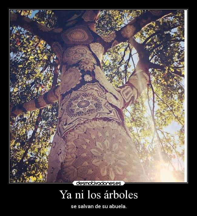 Ya ni los árboles -