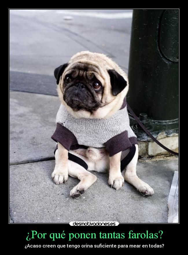 ¿Por qué ponen tantas farolas? - 