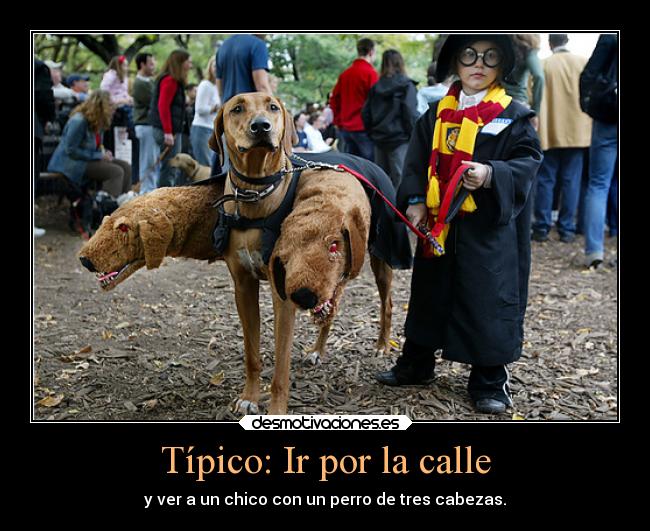 Típico: Ir por la calle - y ver a un chico con un perro de tres cabezas.