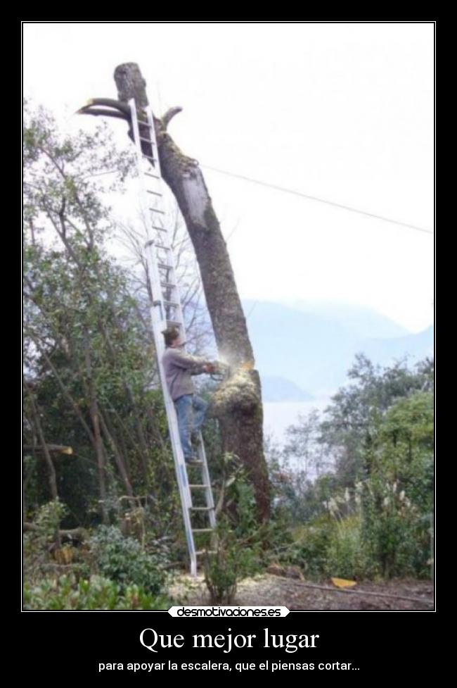 carteles humor cortando arbol apoyando enel escalera desmotivaciones
