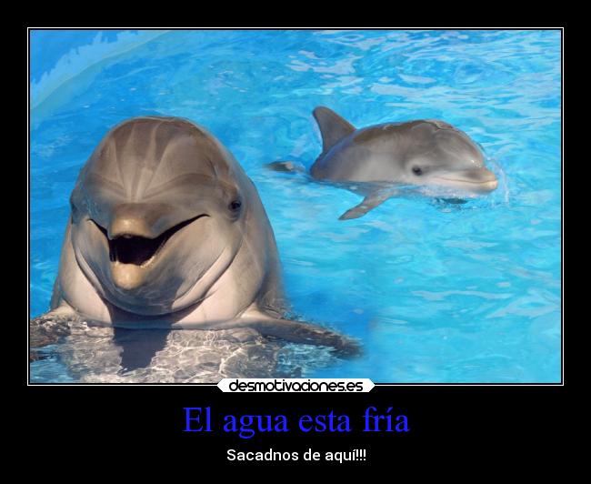 El agua esta fría - Sacadnos de aquí!!!