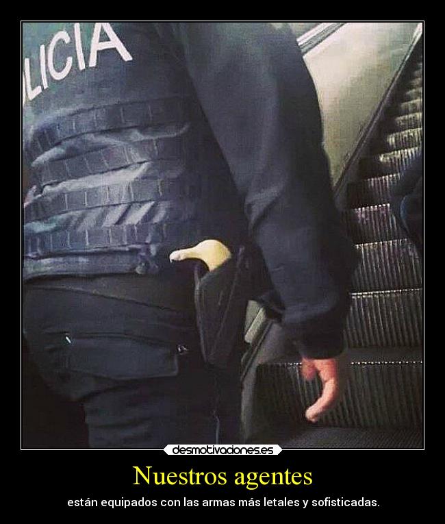Nuestros agentes -
