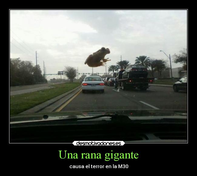 carteles humor desmofunny unicorniosrosasyazules theinmortals godricvampire666 desmotivaciones