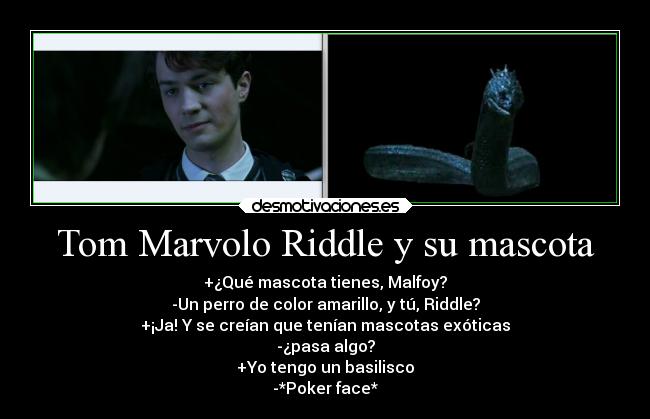 Tom Marvolo Riddle y su mascota - +¿Qué mascota tienes, Malfoy?
-Un perro de color amarillo, y tú, Riddle?
+¡Ja! Y se creían que tenían mascotas exóticas
-¿pasa algo?
+Yo tengo un basilisco
-*Poker face*