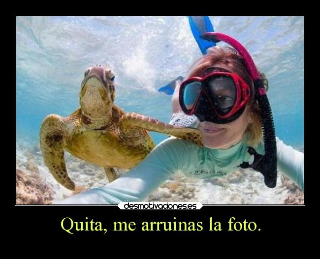 Quita, me arruinas la foto. - 