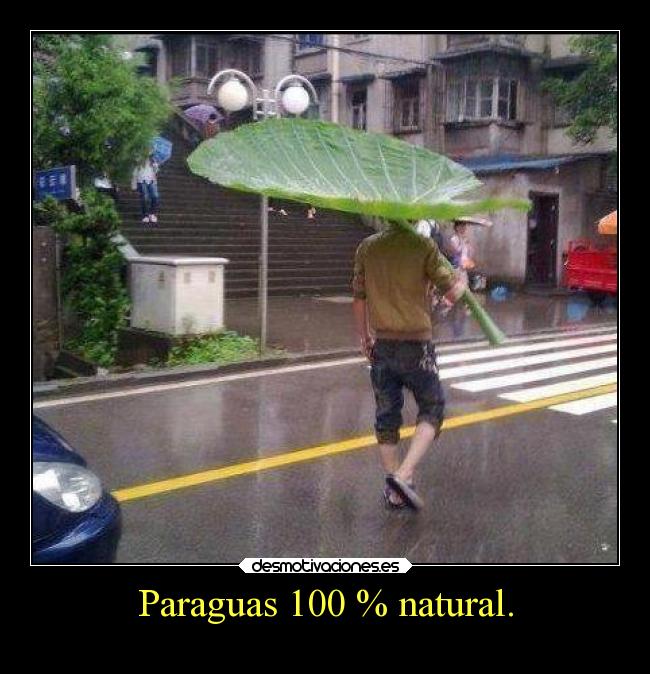 Paraguas 100 % natural. - 