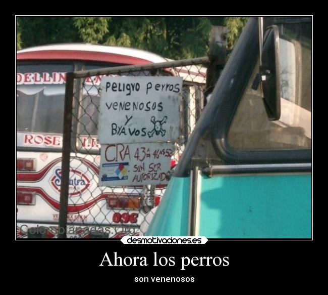 Ahora los perros - son venenosos