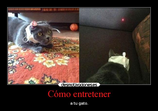 Cómo entretener -