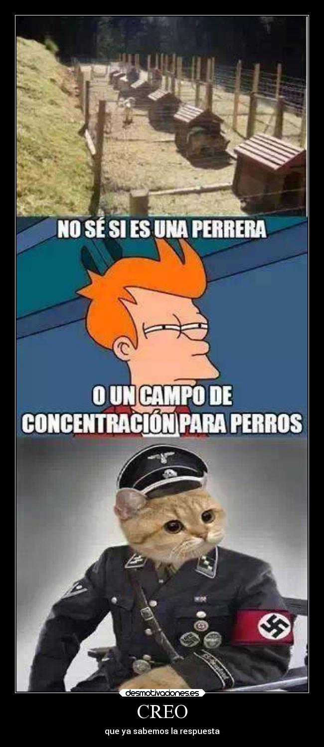 carteles humor gato perros perrera creo sabemos respuesta desmotivaciones