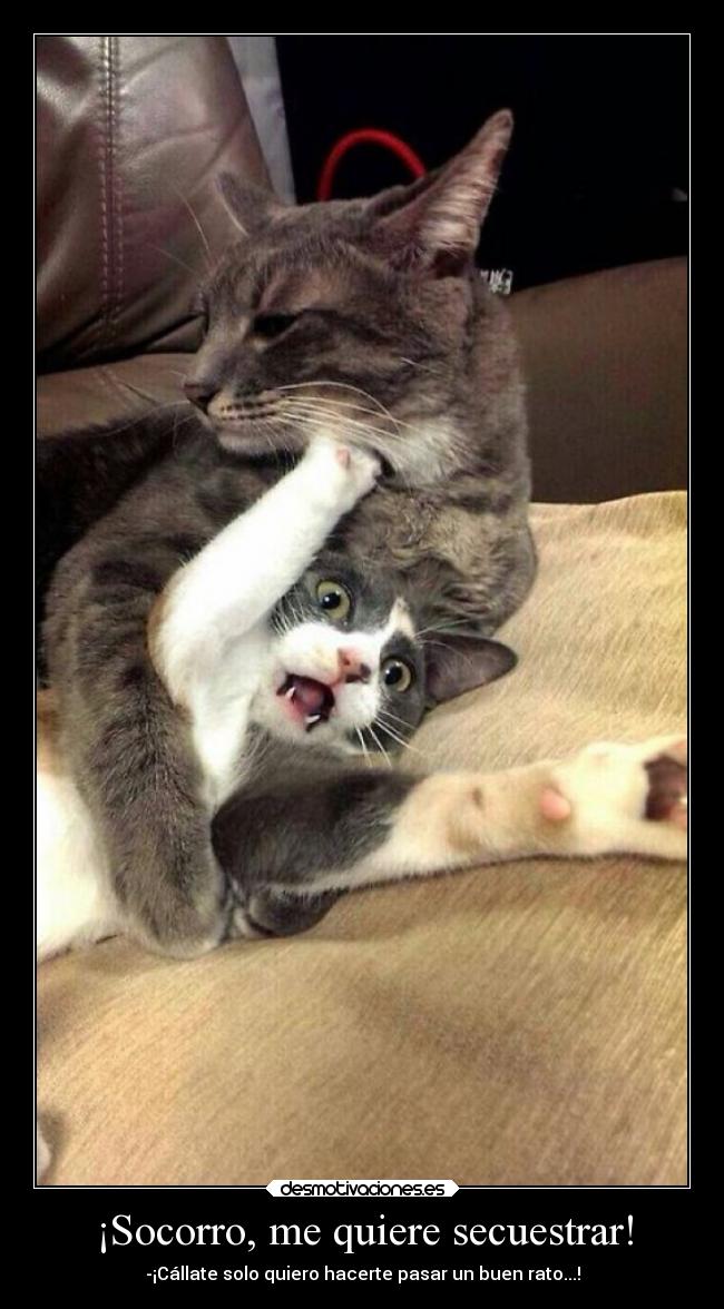 ¡Socorro, me quiere secuestrar! - 