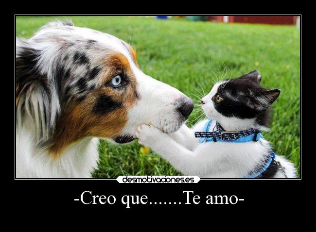 -Creo que.......Te amo- -