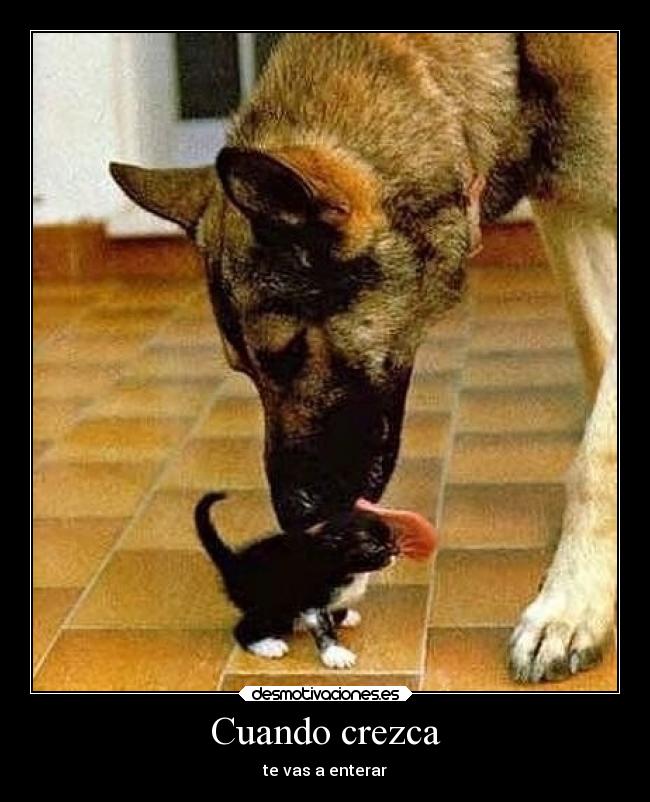 Cuando crezca - 