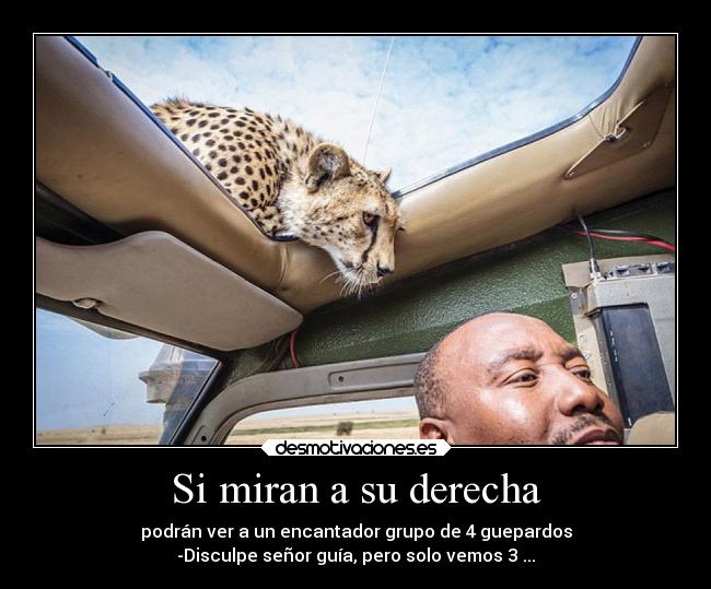 Si miran a su derecha -