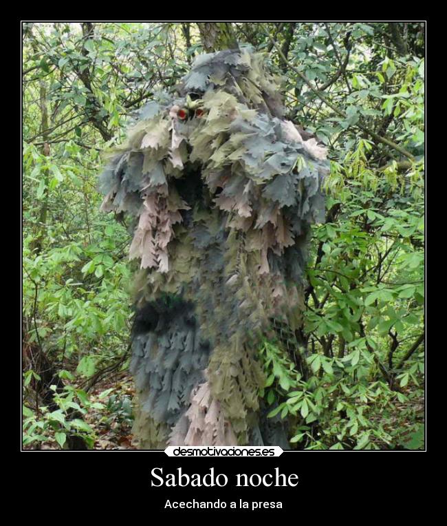 Sabado noche - Acechando a la presa