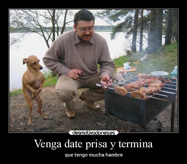 carteles humor perro con hambre desmotivaciones