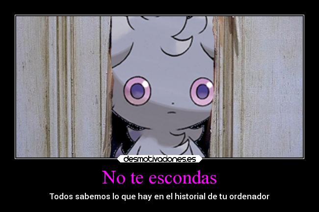 No te escondas - Todos sabemos lo que hay en el historial de tu ordenador