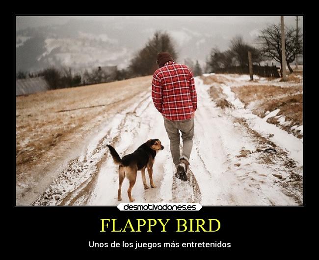 FLAPPY BIRD - Unos de los juegos más entretenidos