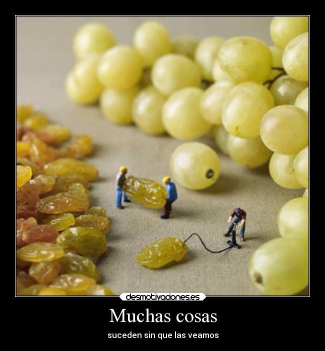 Muchas cosas - 