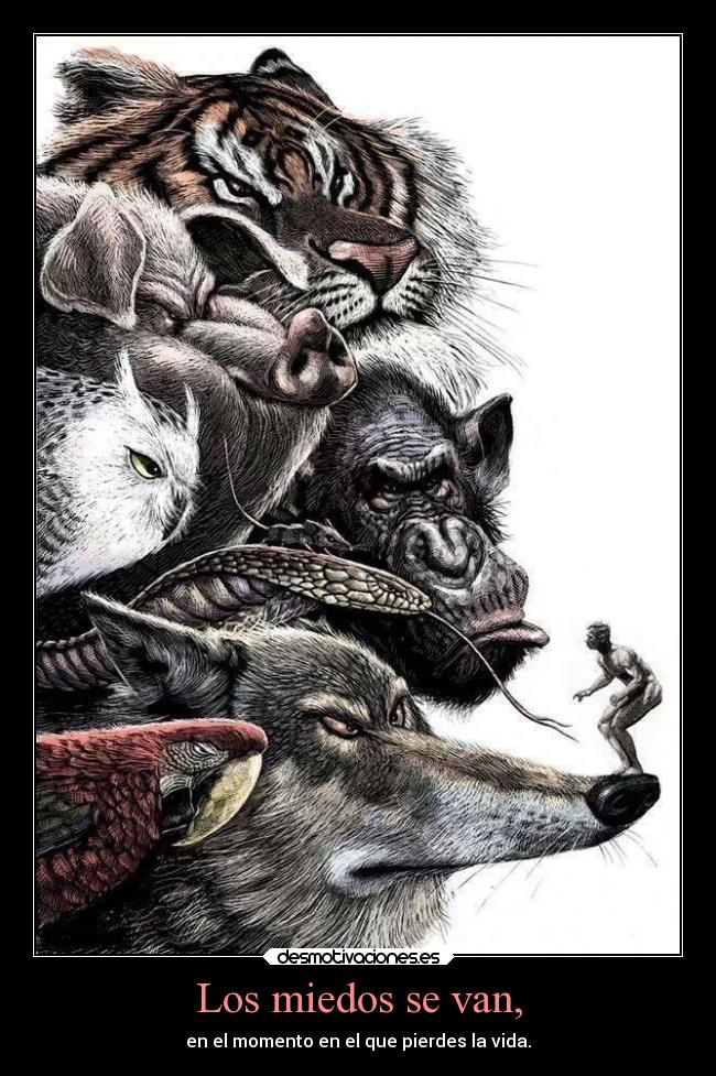 carteles ideas felicidad cualquier parecido con realidad pura coincidenciacreoqueno desmotivaciones