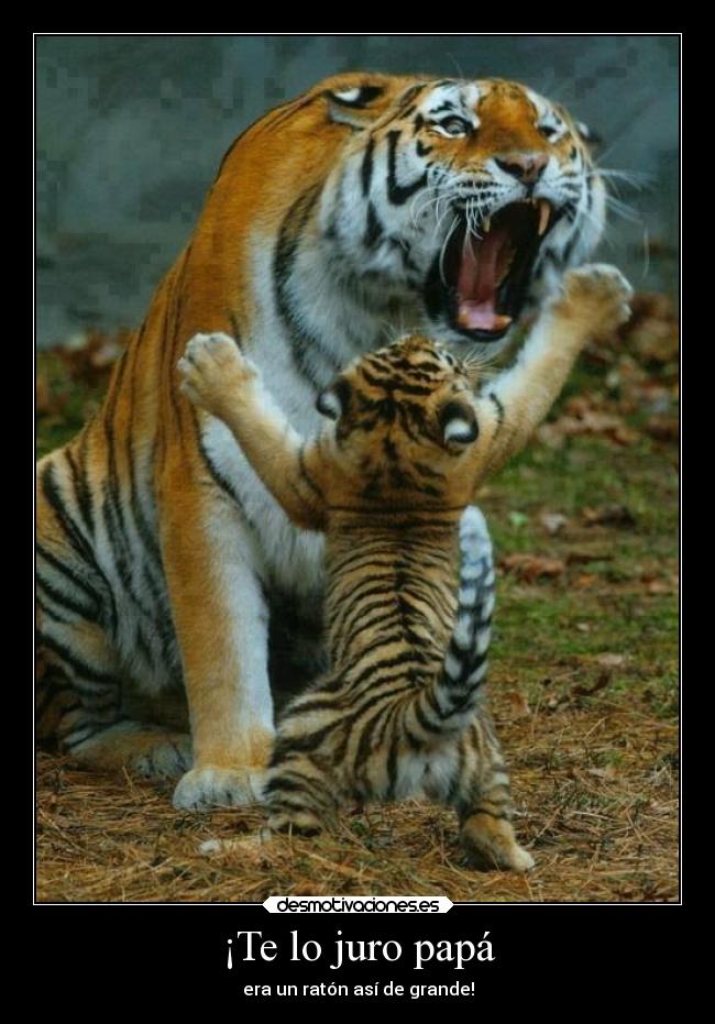 ¡Te lo juro papá - era un ratón así de grande!