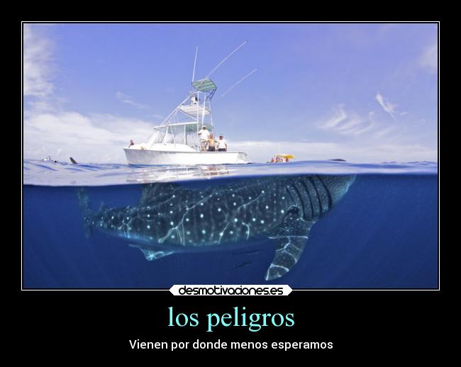 los peligros - Vienen por donde menos esperamos