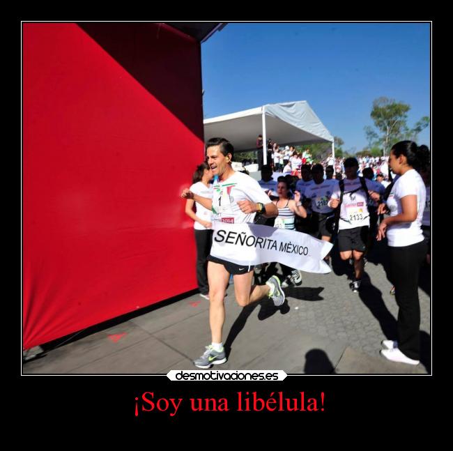 ¡Soy una libélula! - 