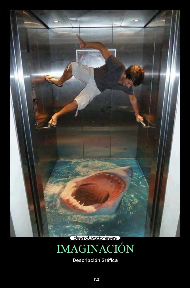 IMAGINACIÓN - Descripción Gráfica
r.z