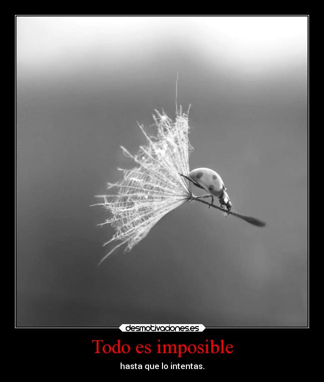 Todo es imposible - hasta que lo intentas.