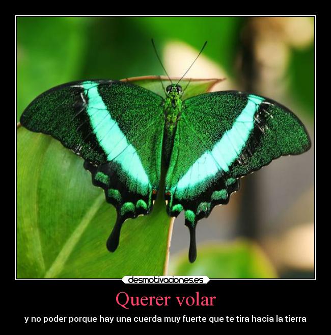 Querer volar - y no poder porque hay una cuerda muy fuerte que te tira hacia la tierra