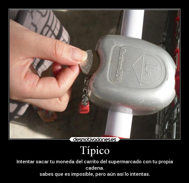 Típico -
