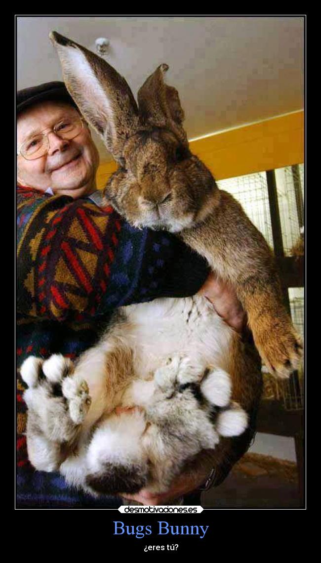 Bugs Bunny - ¿eres tú?