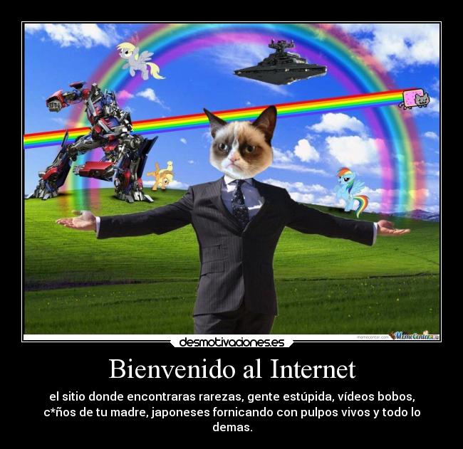 Bienvenido al Internet -