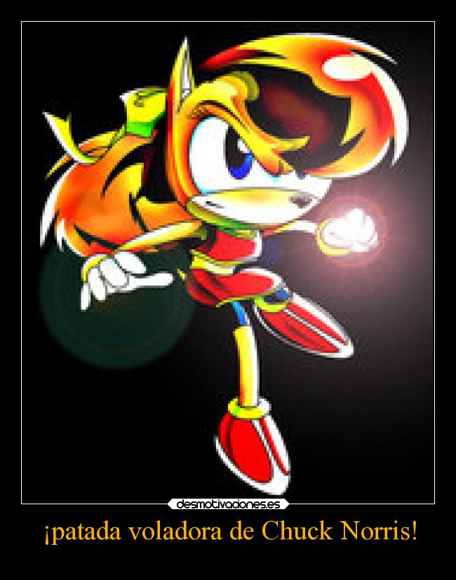 ¡patada voladora de Chuck Norris! - 