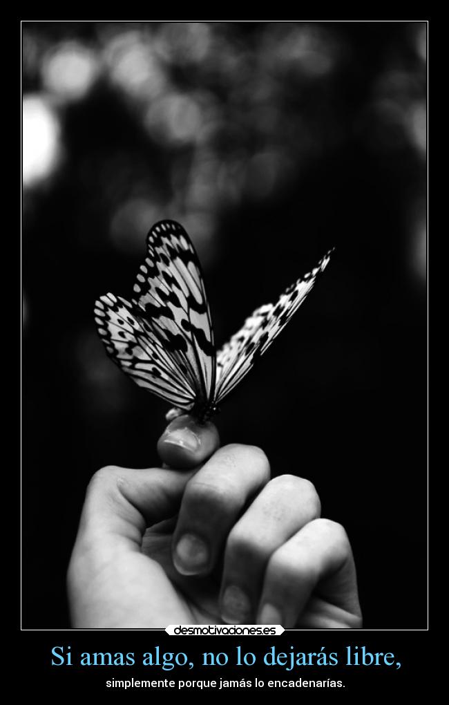 carteles libertad amor desmotivaciones