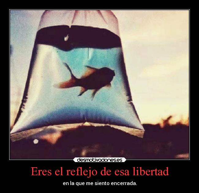 Eres el reflejo de esa libertad -