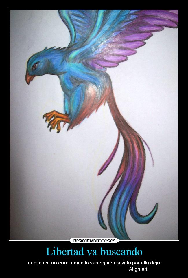 Libertad va buscando - que le es tan cara, como lo sabe quien la vida por ella deja.
Alighieri.