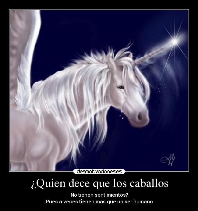 carteles llorar animales sentimiento cuerda cuerno desmotivaciones