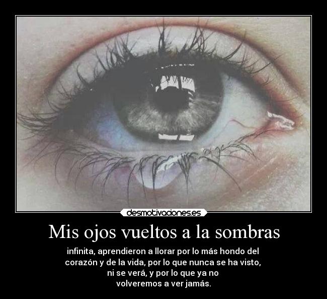 carteles llorar desmotivaciones