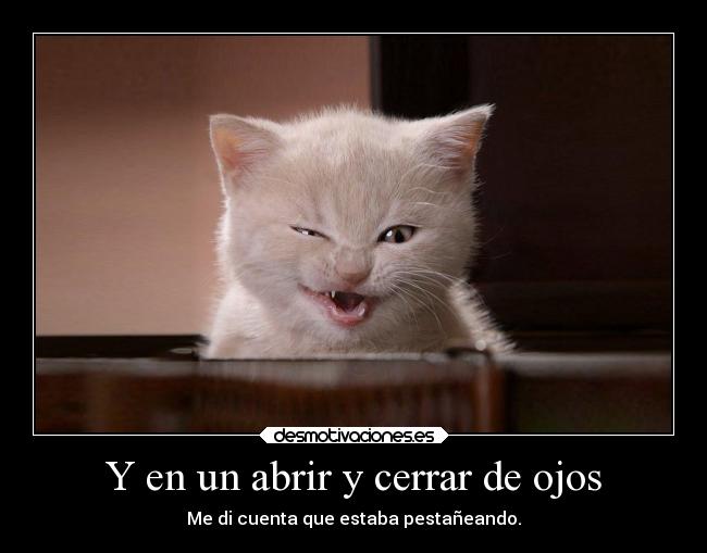 Y en un abrir y cerrar de ojos - 