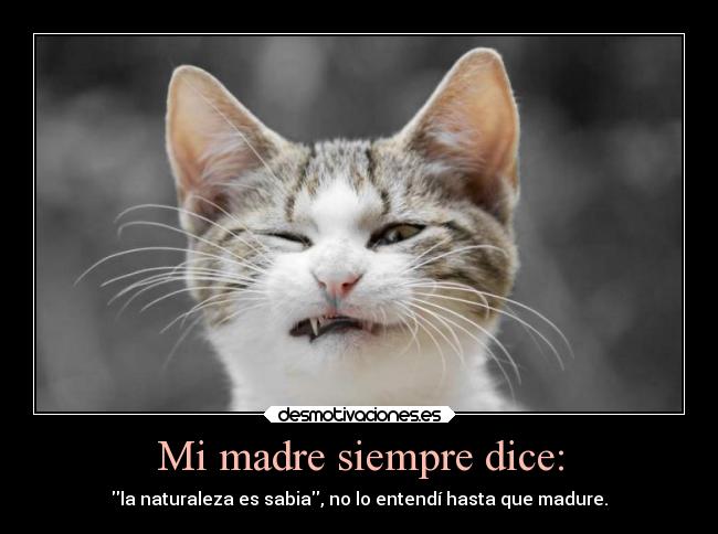 Mi madre siempre dice: - la naturaleza es sabia, no lo entendí hasta que madure.