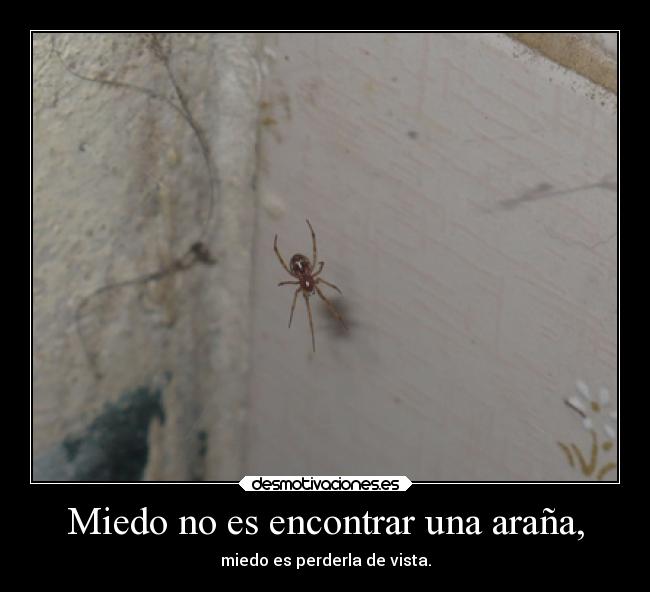 Miedo no es encontrar una araña, - 