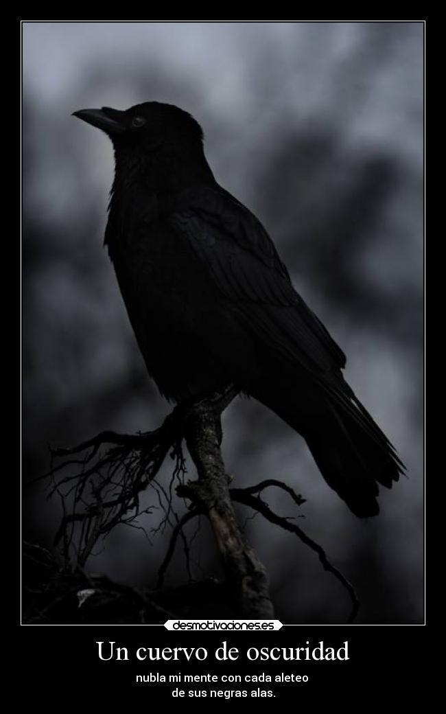 Un cuervo de oscuridad - 