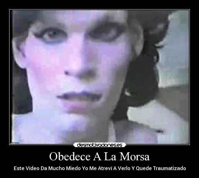 Obedece A La Morsa -