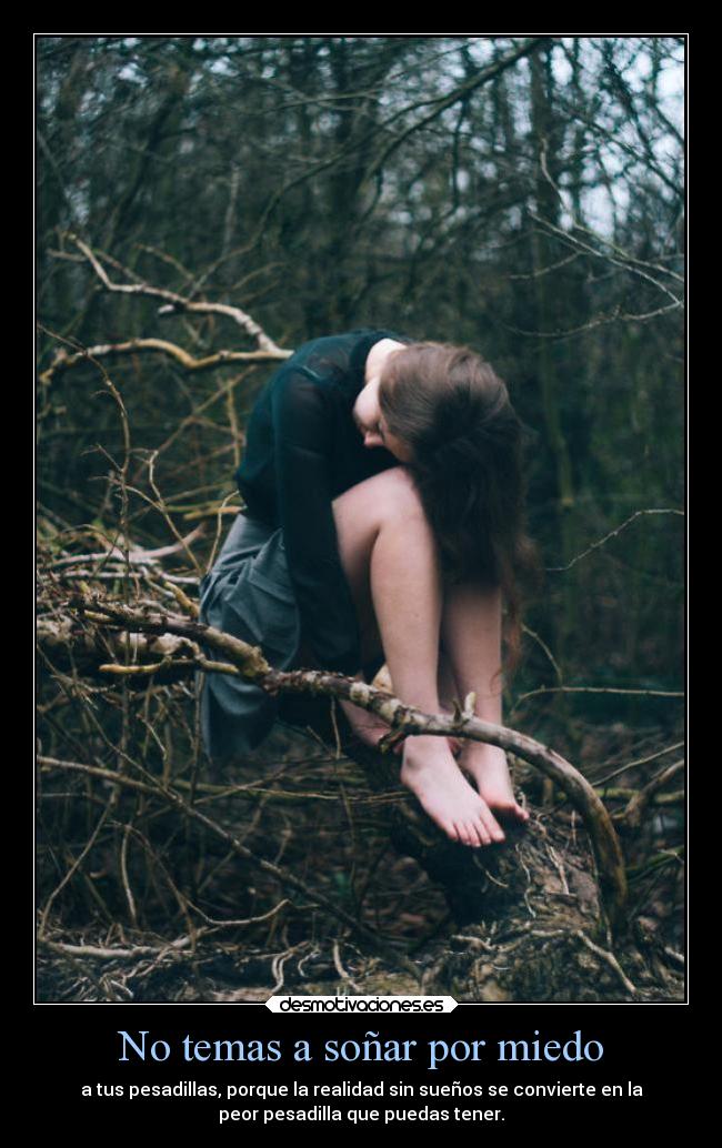 No temas a soñar por miedo - 