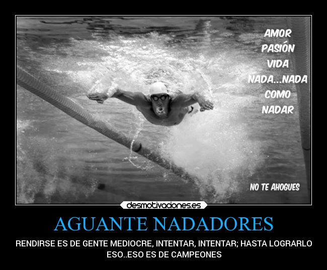 carteles motivaciones desmotivaciones