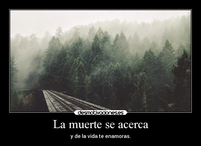 La muerte se acerca - y de la vida te enamoras.