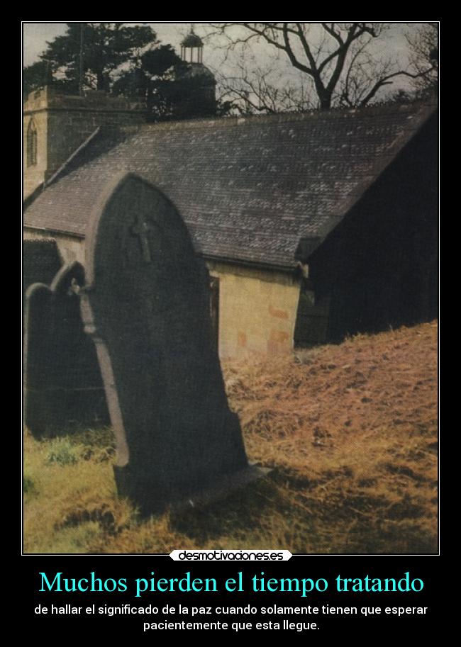 Muchos pierden el tiempo tratando -